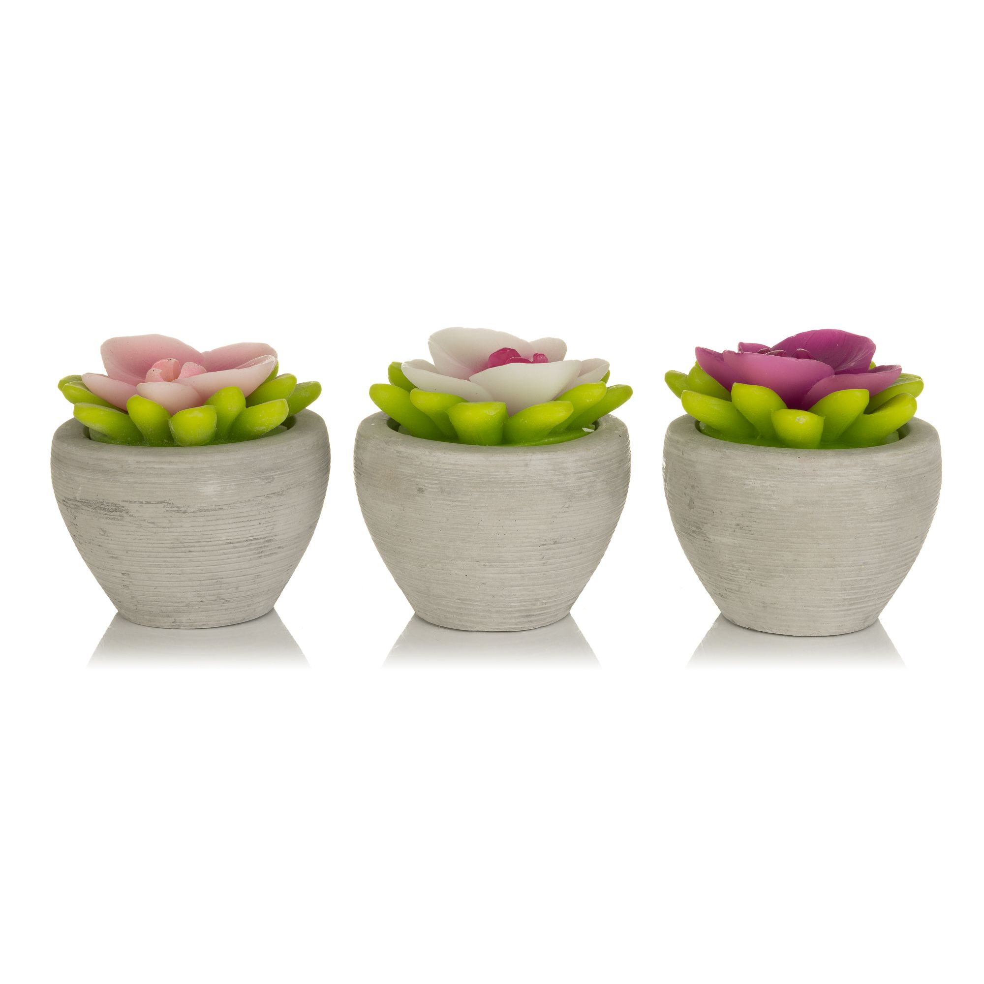 ELAMBIA 3 LED-Blumenkerzen Zement-Topf 5h-Timerfunktion Höhe 9cm, Ø 8,5cm