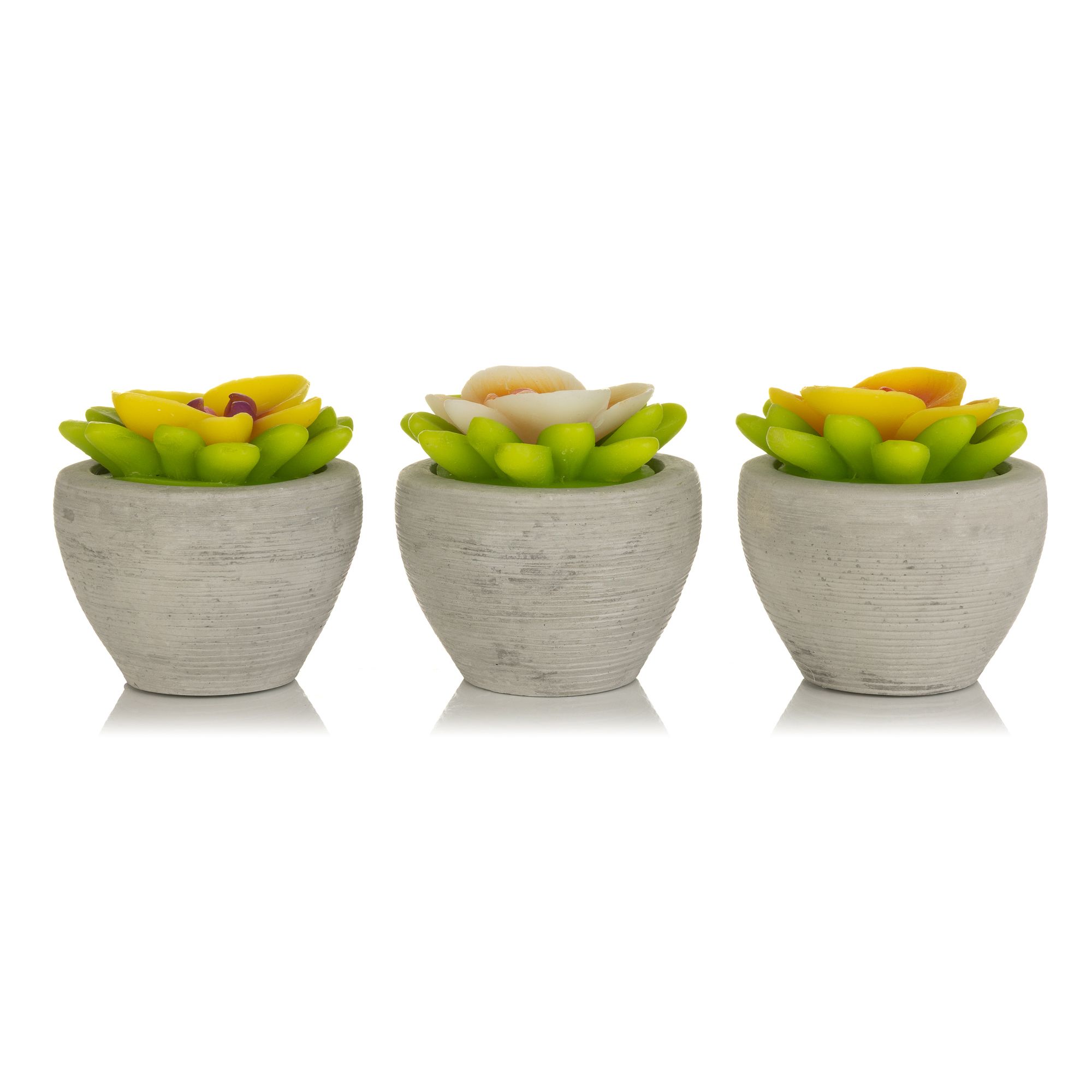 ELAMBIA 3 LED-Blumenkerzen Zement-Topf 5h-Timerfunktion Höhe 9cm, Ø 8,5cm