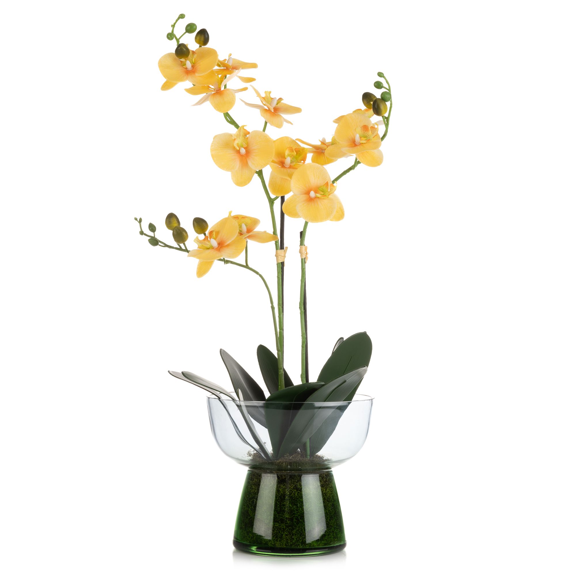 ABELLA Flora künstliche Orchidee Glasvase Glas gefärbt Höhe 60cm