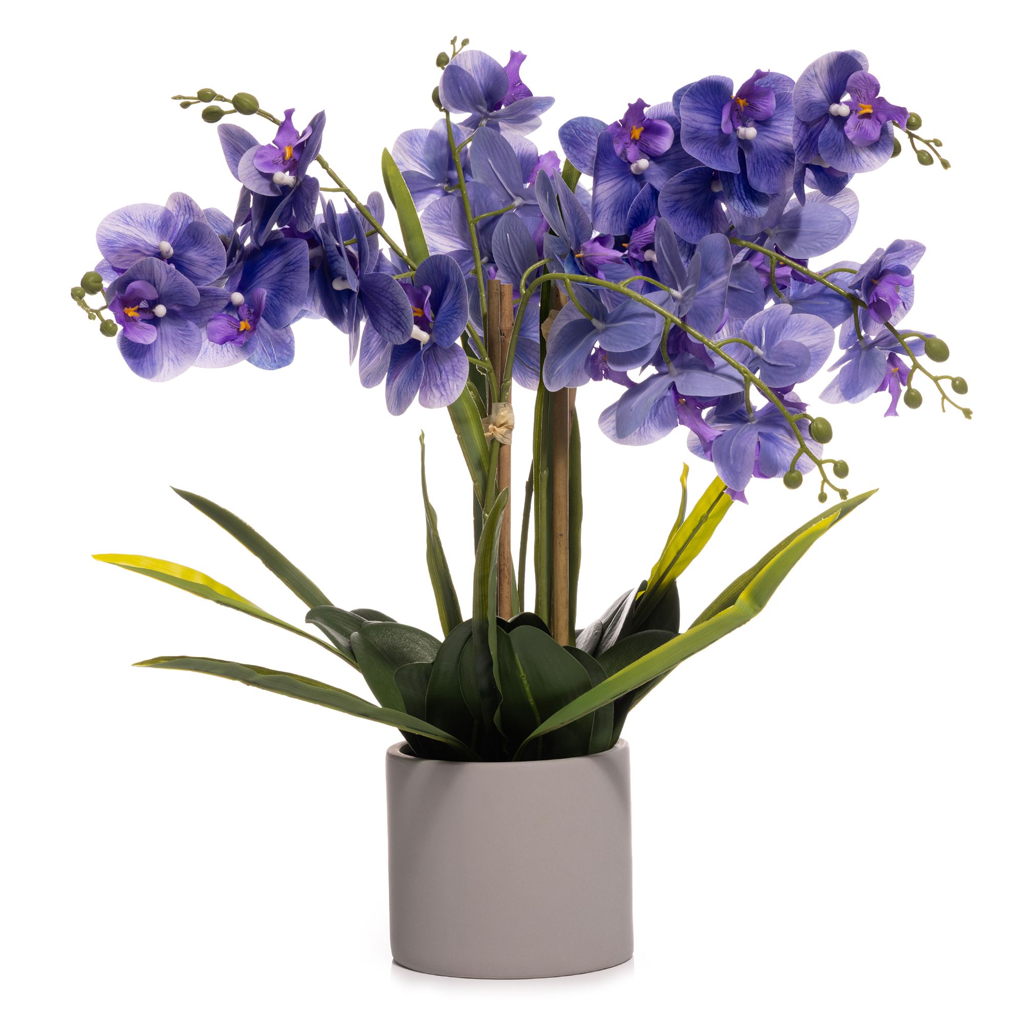 ABELLA Flora künstliche Orchidee Realtouch-Blüten Topf auswechselbar Farb-/Größenauswahl