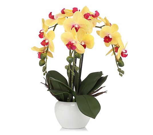 ABELLA Flora künstliche Orchidee Keramiktopf 20x12x32cm