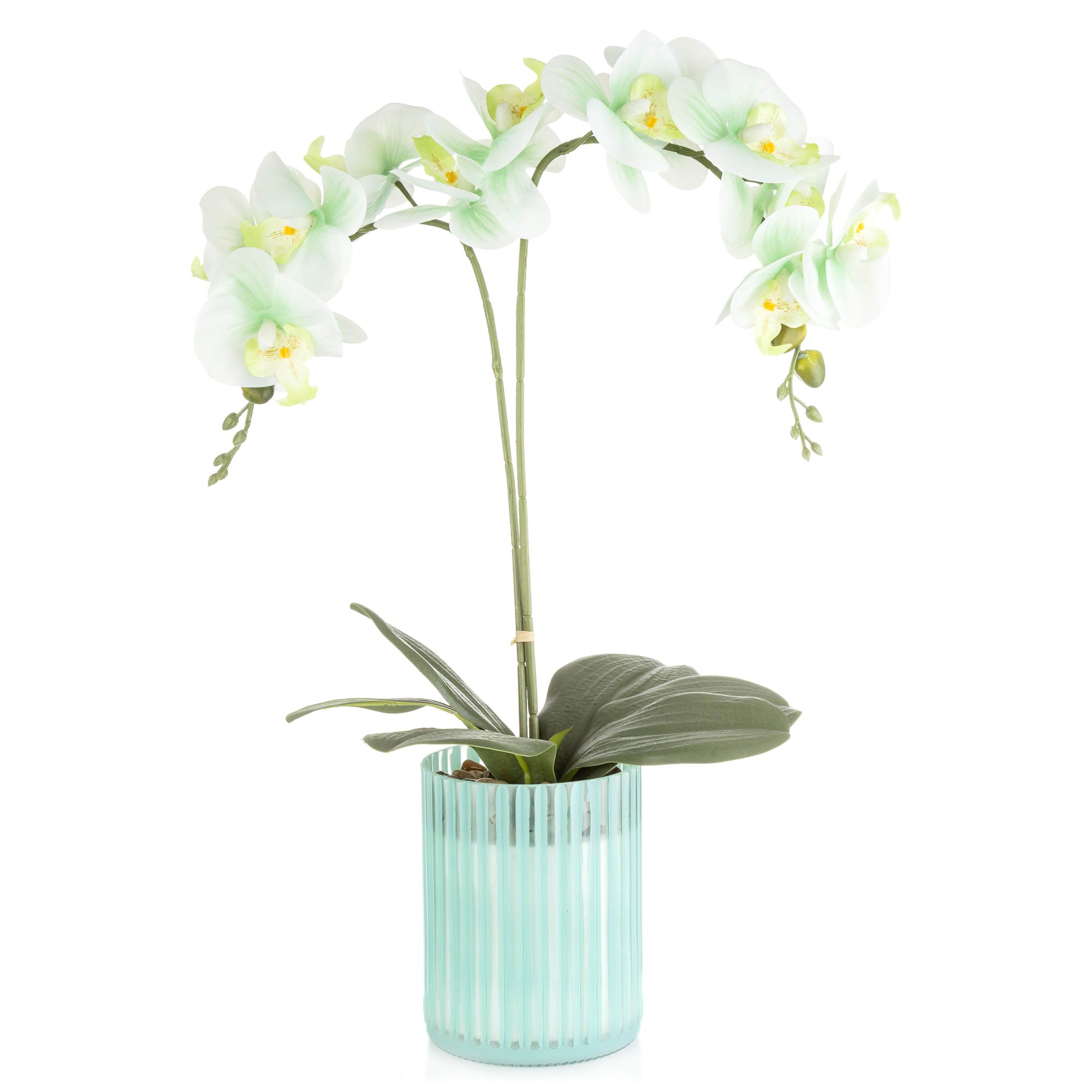 ABELLA Flora künstliche Orchidee farbige Glasvase Höhe 51cm