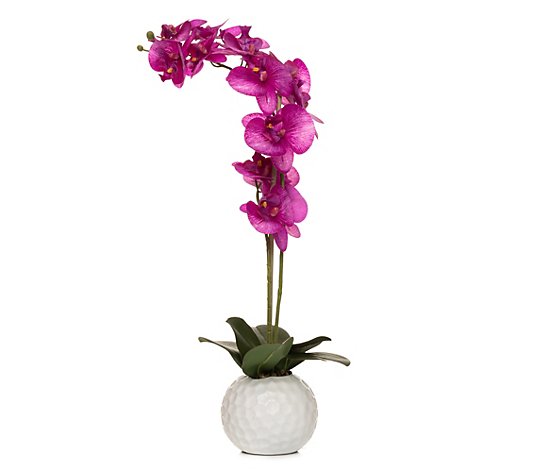 ABELLA Flora künstliche Orchidee 2 Triebe, 14 Blüten Keramik-Dekotopf Höhe 65cm