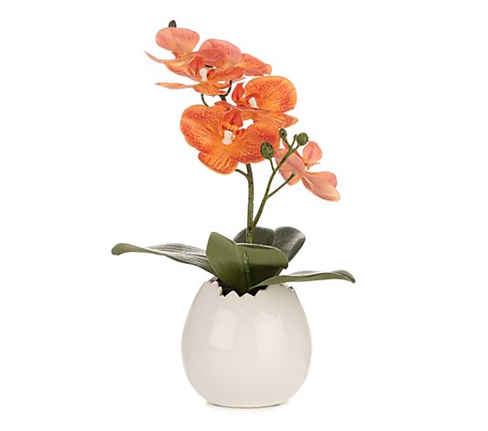 ABELLA Flora künstliche Orchidee natürliche Haptik Keramiktopf Höhe 30cm
