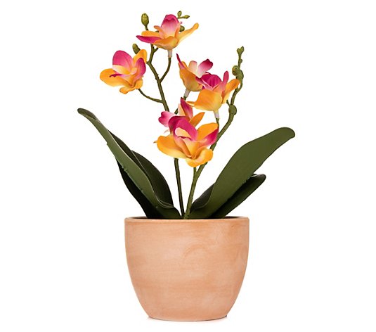 ABELLA Flora künstliche Orchidee Keramiktopf Höhe 23cm