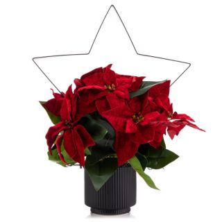 LUMIDA Flora künstl. Poinsettia Weihnachtsstern inkl. Metall-Deko 5h-Timerfunktion