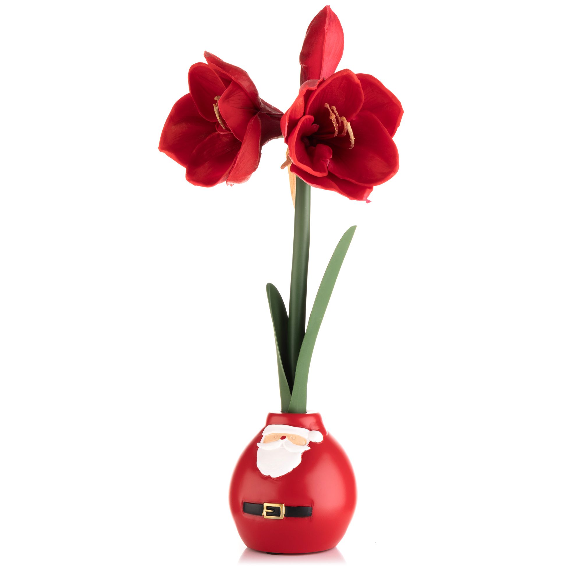 ABELLA Flora künstl. Amaryllis Realtouch-Effekt Motiv-Topf Höhe 45cm