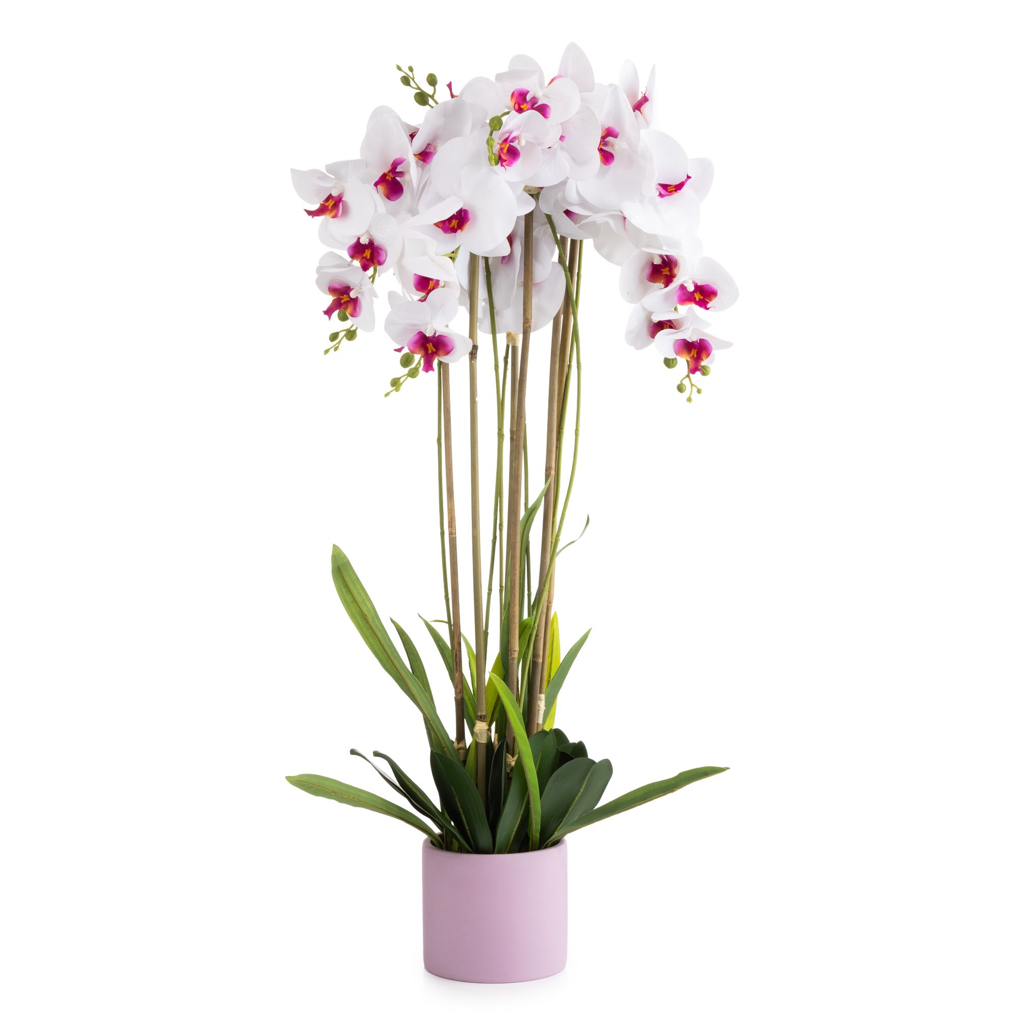  ABELLA Flora künstliche Orchidee Realtouch-Blüten Höhe 100cm
