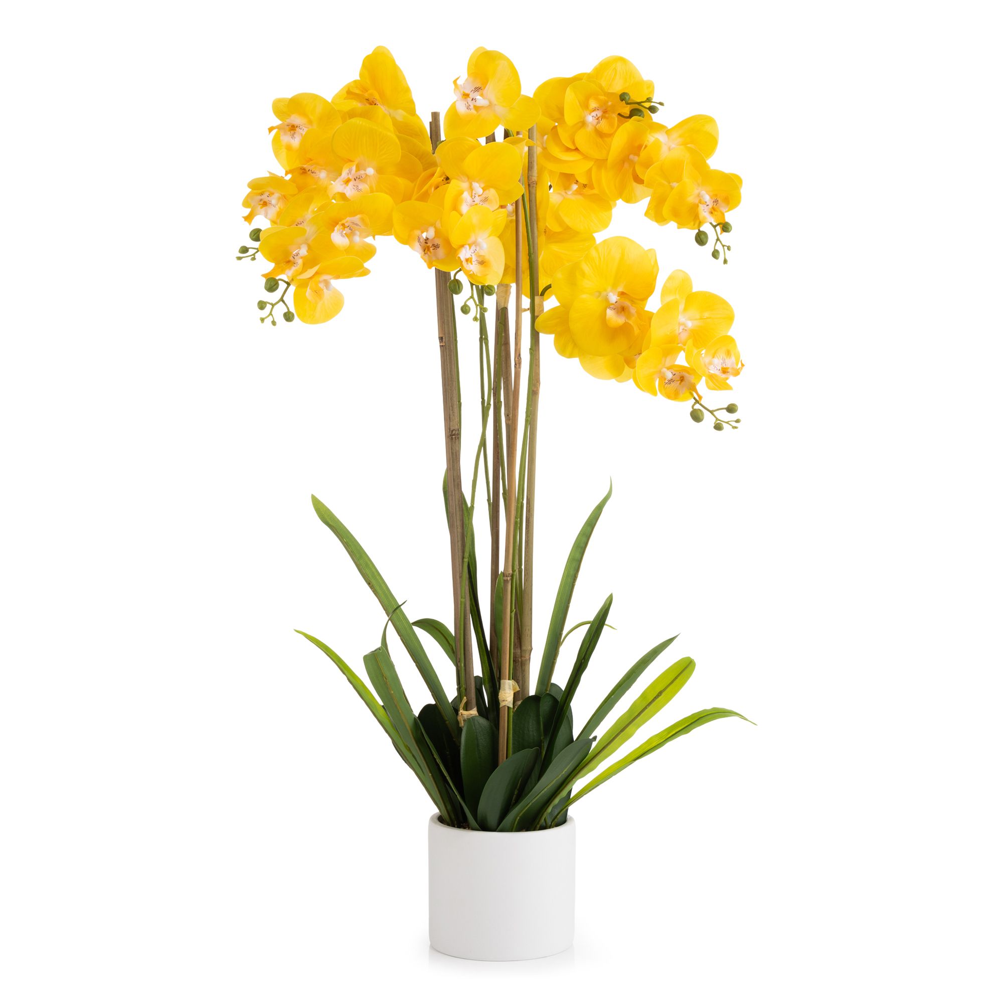 ABELLA Flora künstliche Orchidee Realtouch-Blüten Höhe 100cm