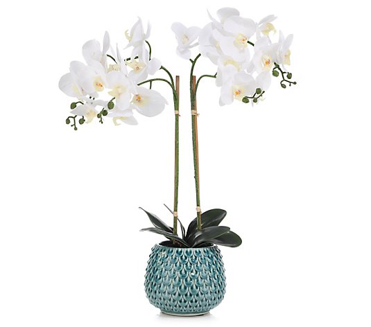 ABELLA Flora künstliche Orchidee maritimer Designtopf Höhe ca. 58cm