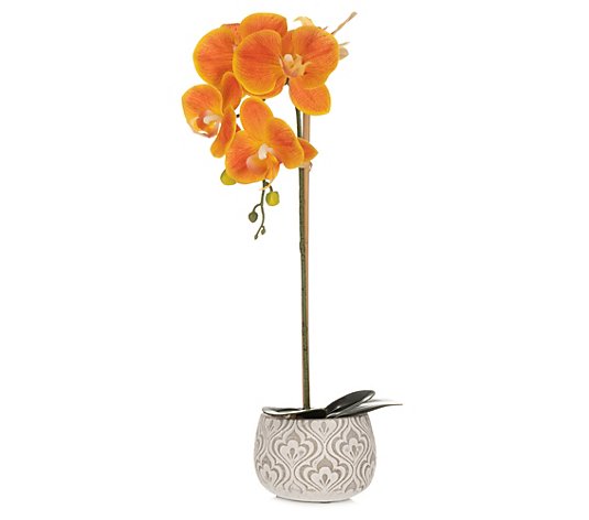 ABELLA Flora künstl. Orchidee Phalaenopsis Deko-Topf Höhe 45cm