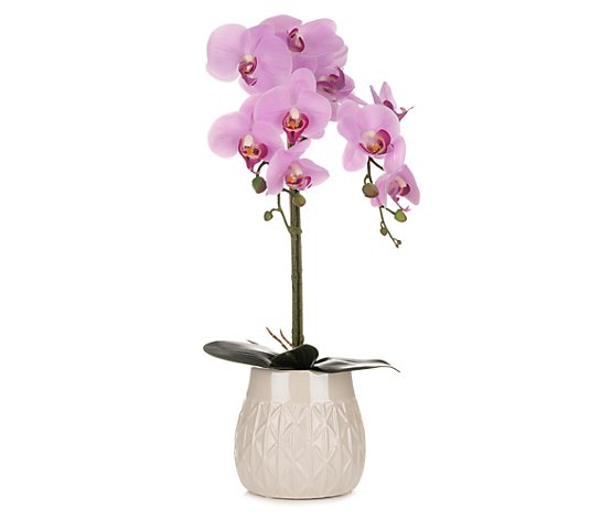 ABELLA Flora künstliche Orchidee Phalaenopsis Deko-Topf Höhe 55cm