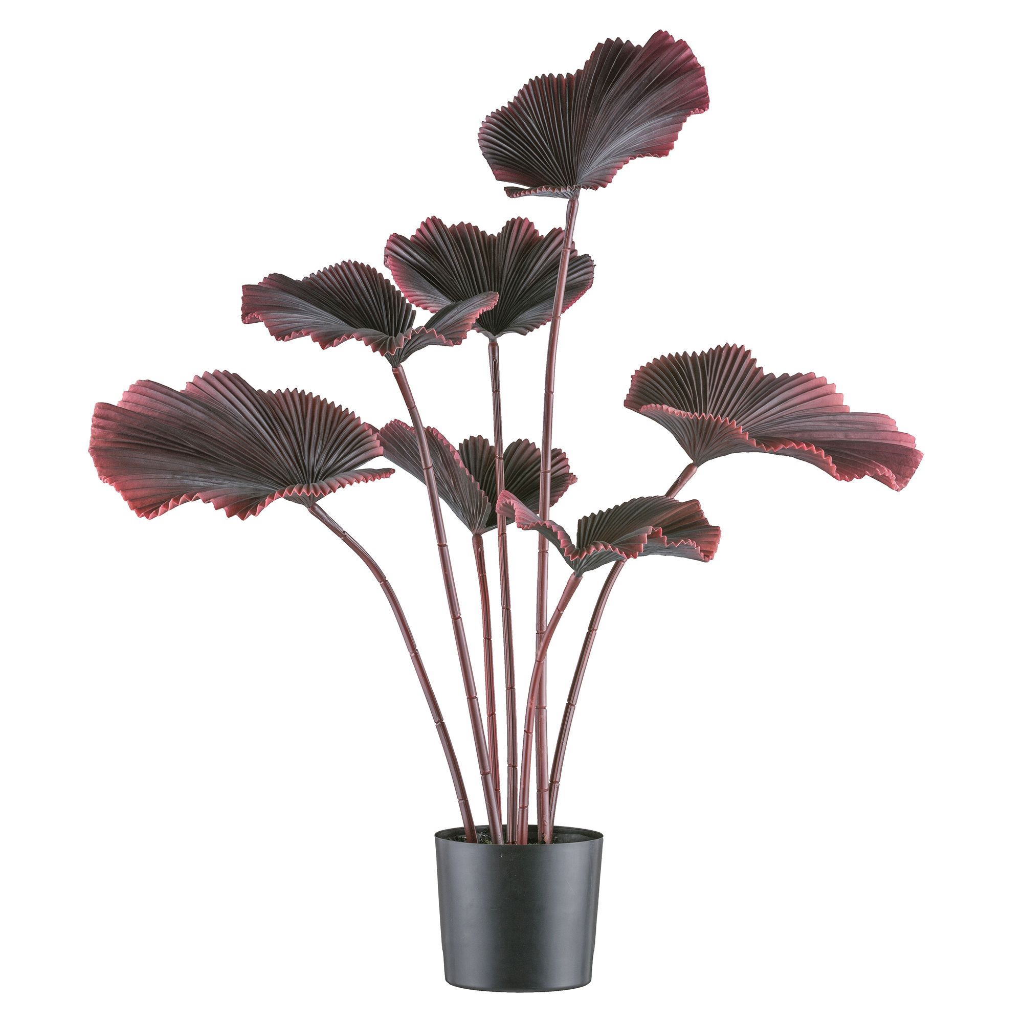 CREATIV green Kunstpflanze Strahlenpalme Kunststofftopf Höhe 100cm