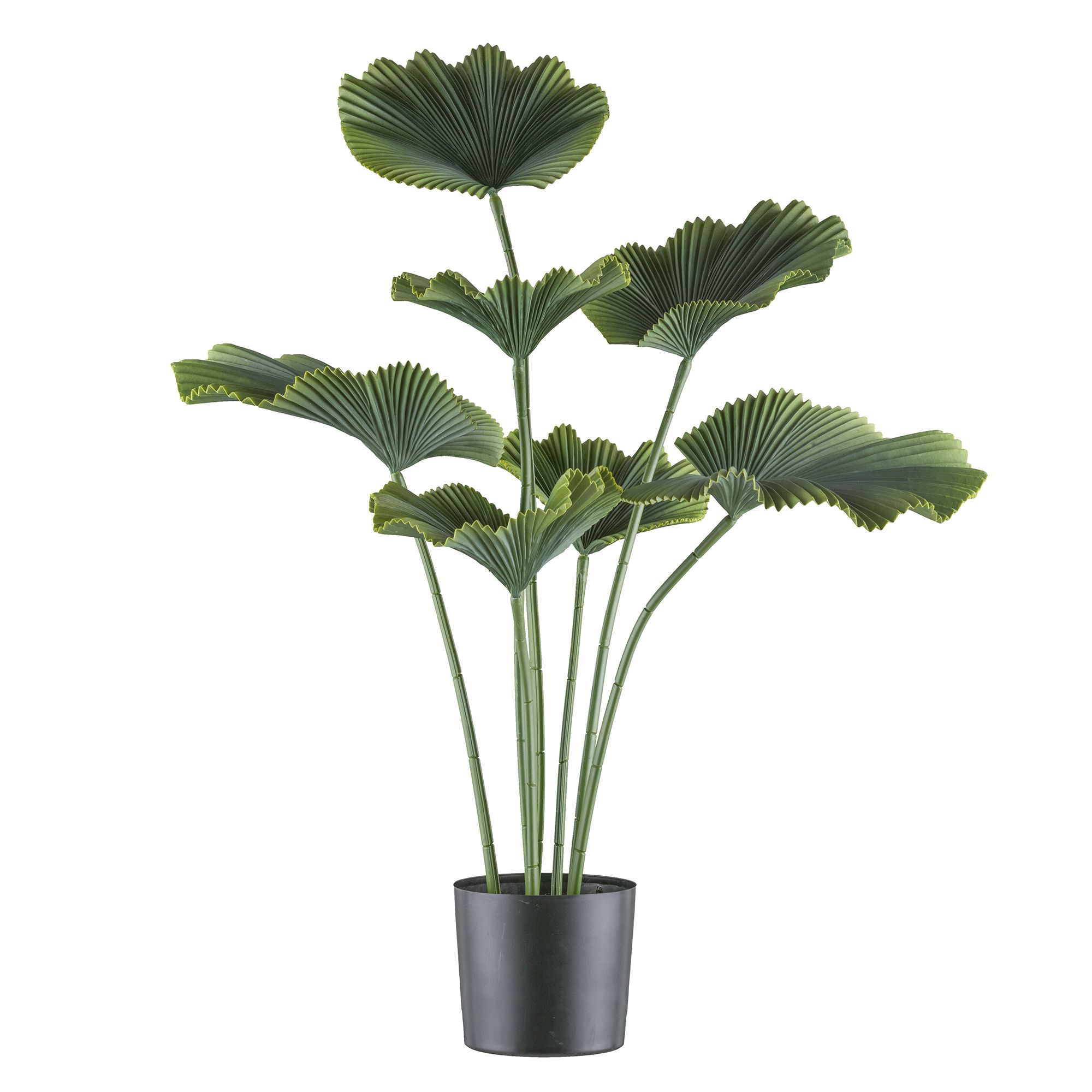 CREATIV green Kunstpflanze Strahlenpalme Kunststofftopf Höhe 100cm
