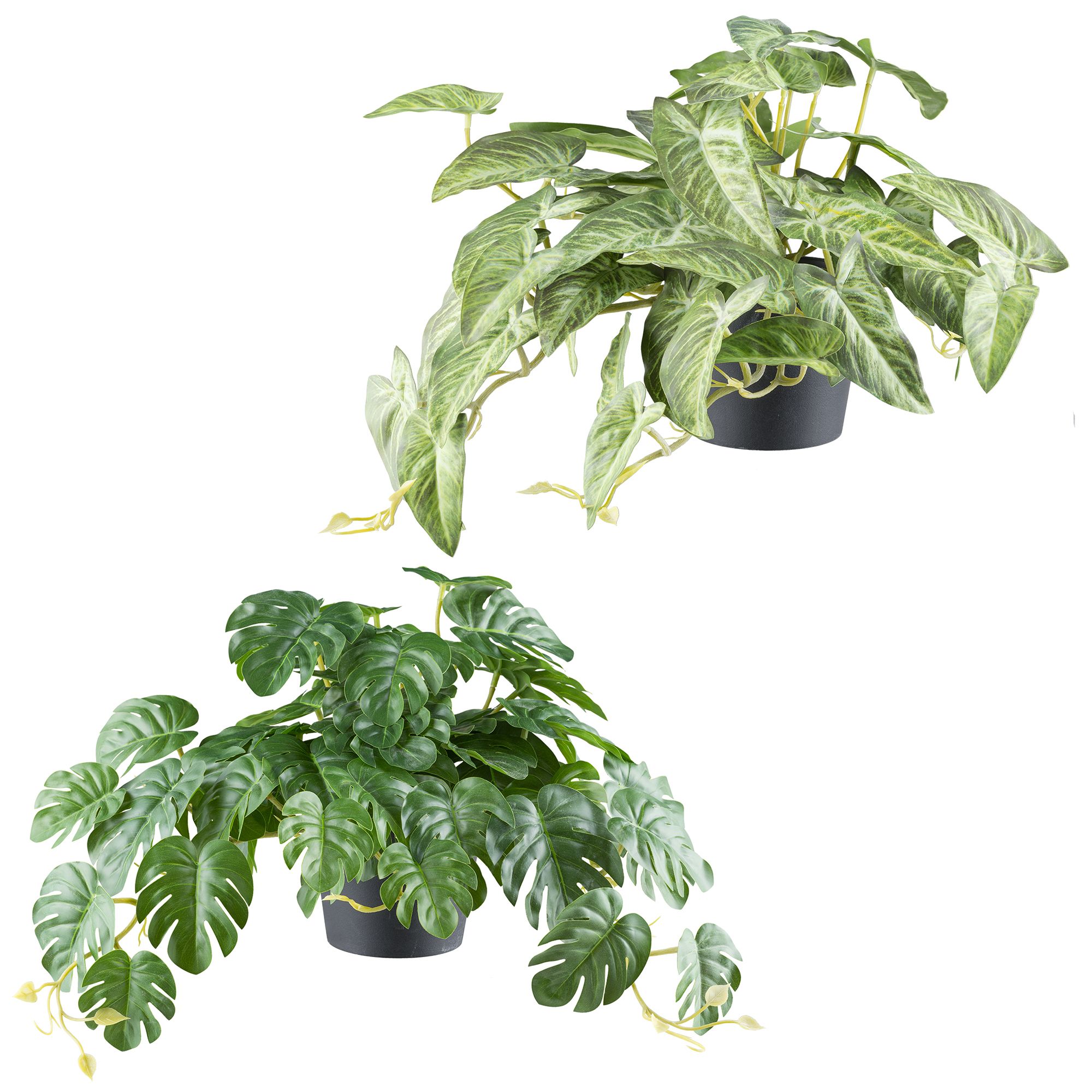 CREATIV green Kunstpflanzen Grünpflanzen-Mix Kunststofftopf 2 Stück, Höhe 24cm