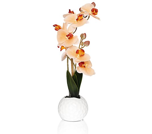ABELLA Flora künstliche Orchidee natürliche Haptik Keramiktopf Höhe ca. 33cm
