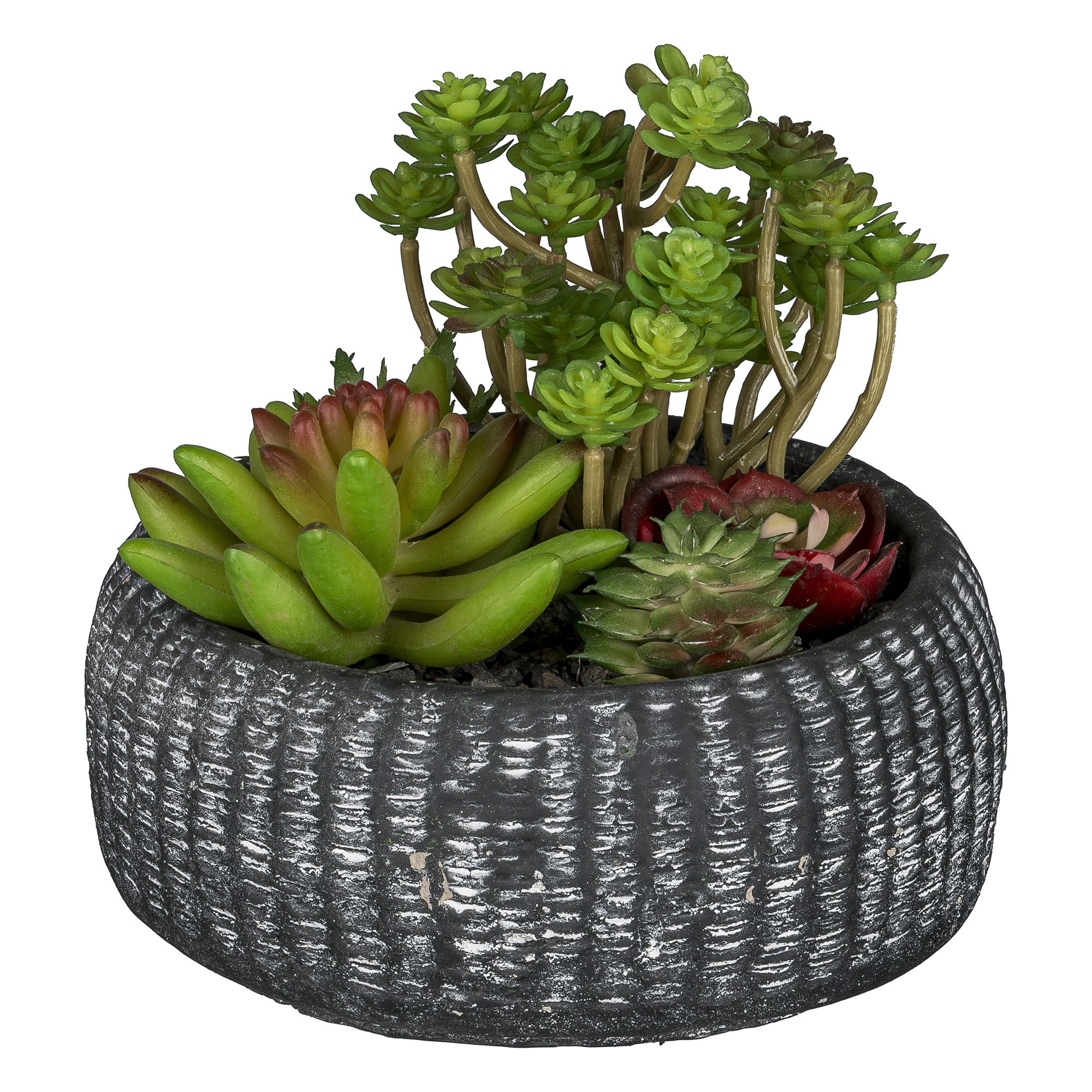 CREATIV green Kunstpflanze Sukkulenten- Arrangement Zementschale