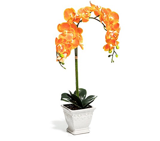 ABELLA Flora künstliche Orchidee Keramiktopf Höhe ca. 72cm