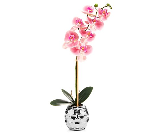 ABELLA Flora künstliche Orchidee 7 Blüten Designtopf Höhe 53cm