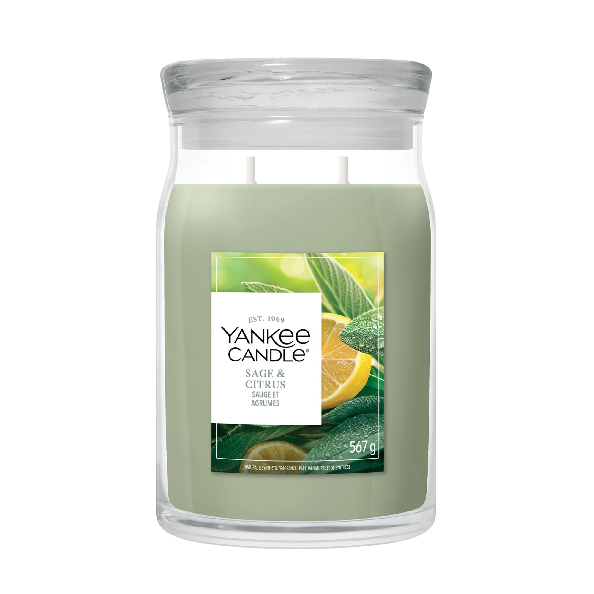 YANKEE CANDLE® Duftkerze Signature Line Large Jar Sage & Citrus