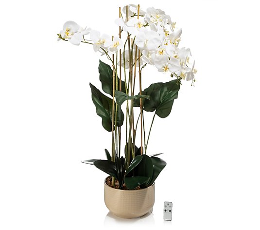 B-Ware LUMIDA Flora künstliche Orchidee inkl. LEDs & Timer dimmbar,H. 110cm