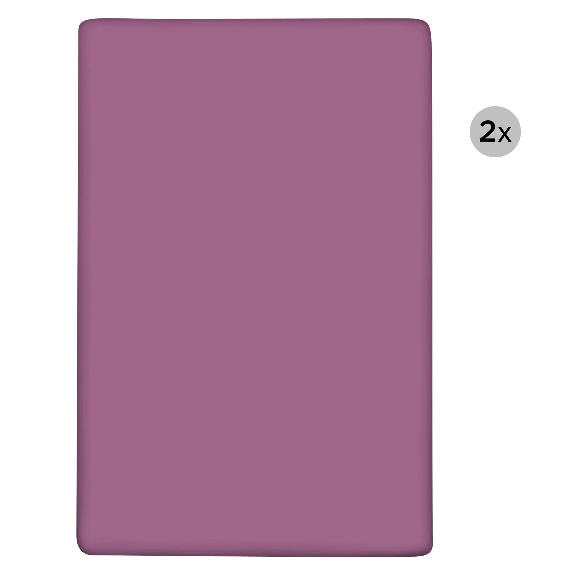 MONT CHALET 2 uni Spannbettlaken Normalgröße Mikrofaser Chinchilla ca. 100x200cm