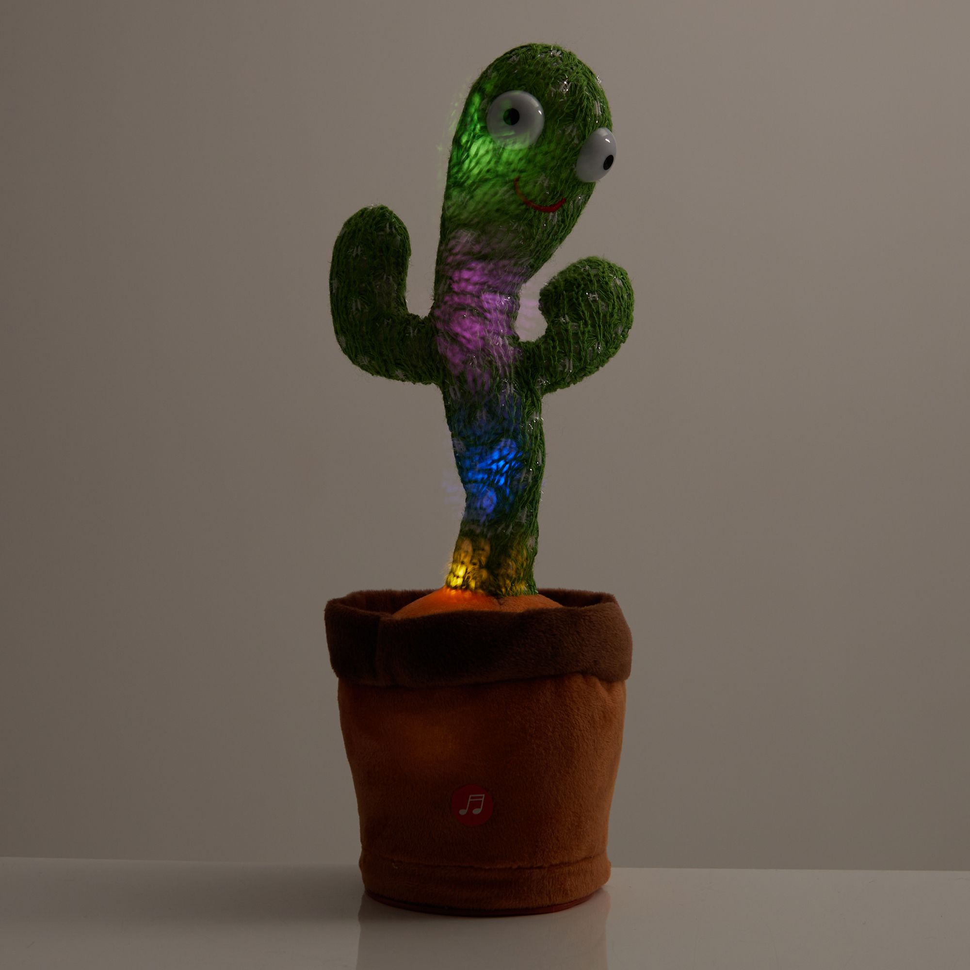 Tanzender Kaktus online kaufen bei youlino –