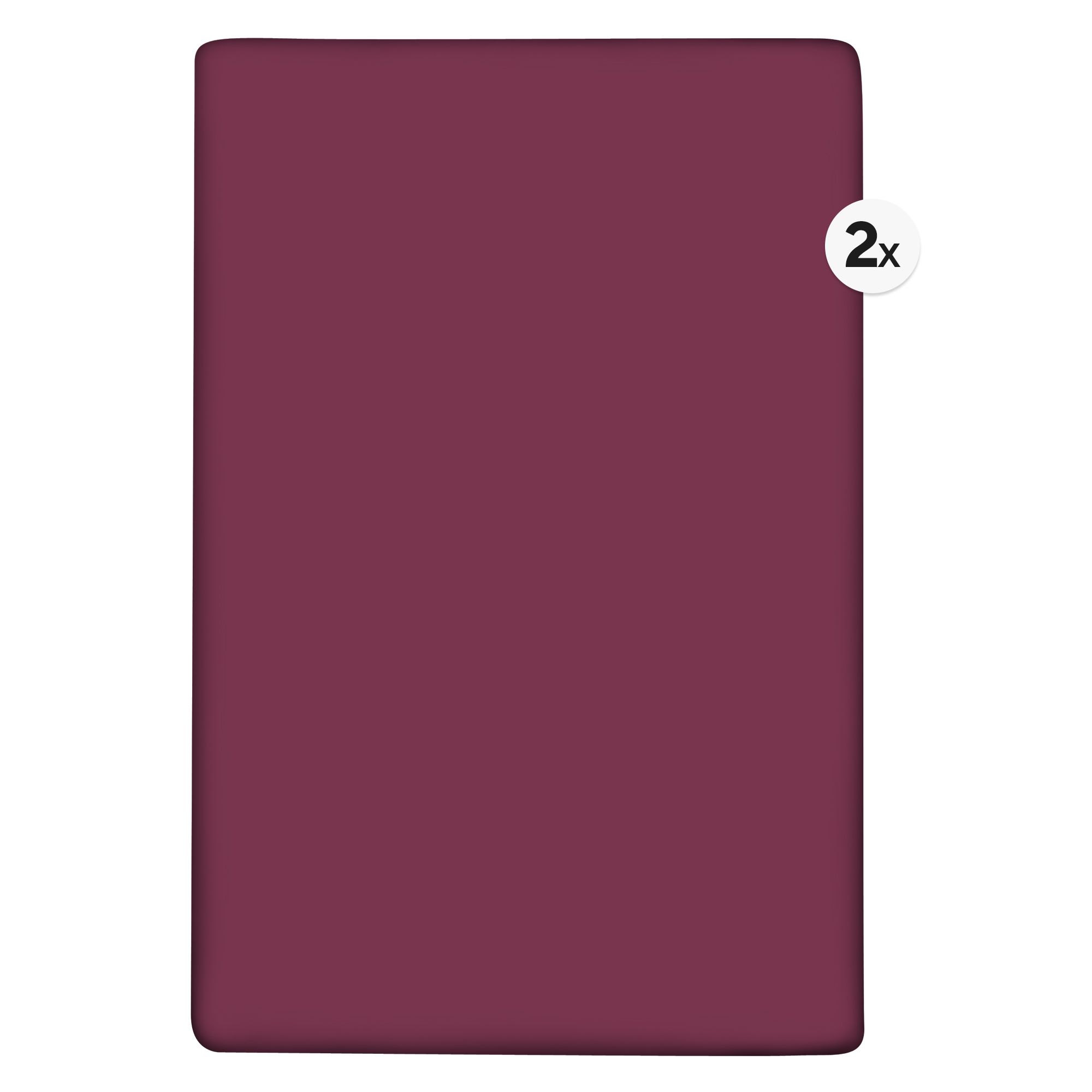 BADIZIO Classic 2 Spannbettlaken uni Mikrofaser Plüsch ca. 100x200cm