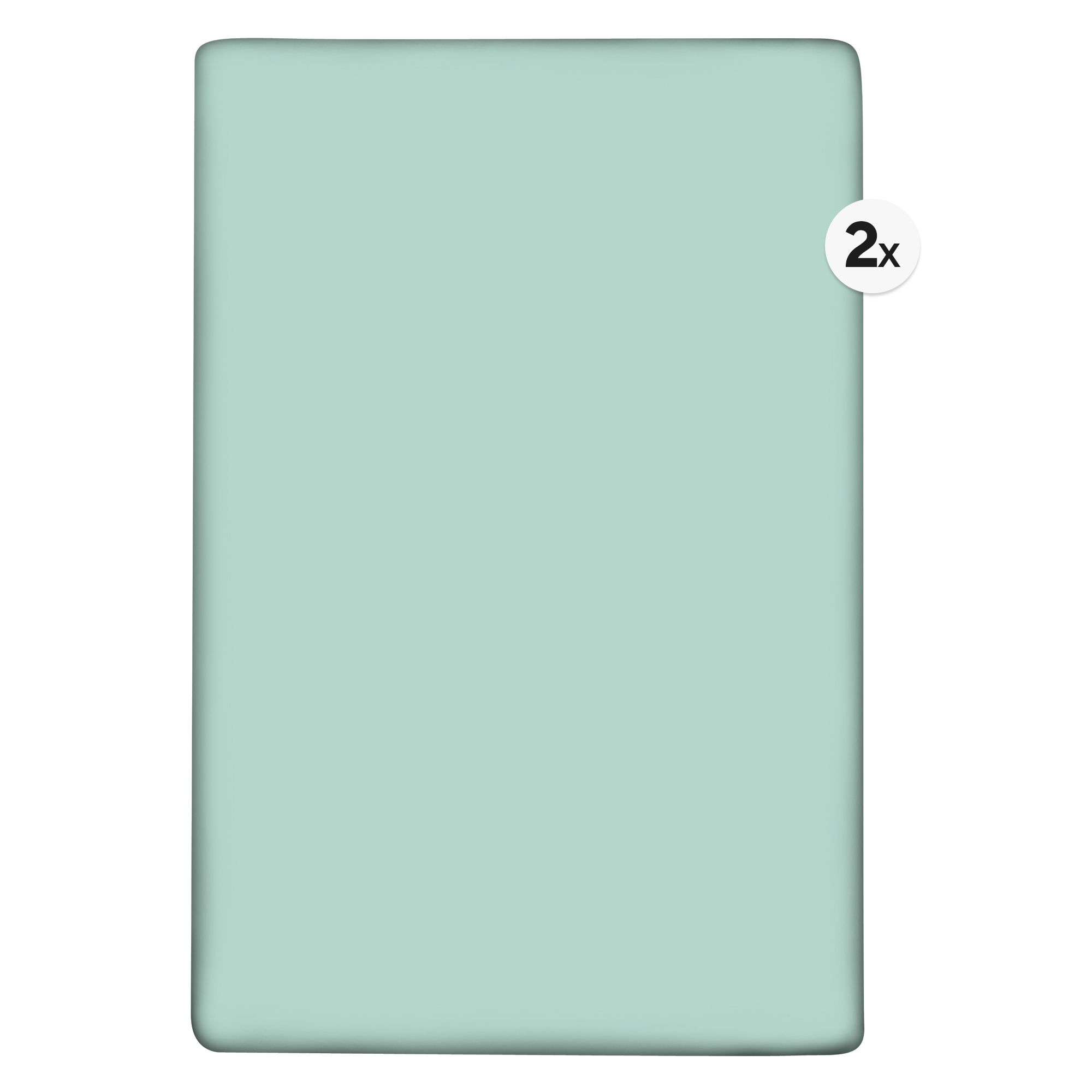 BADIZIO Classic 2 Spannbettlaken uni Mikrofaser Plüsch ca. 100x200cm