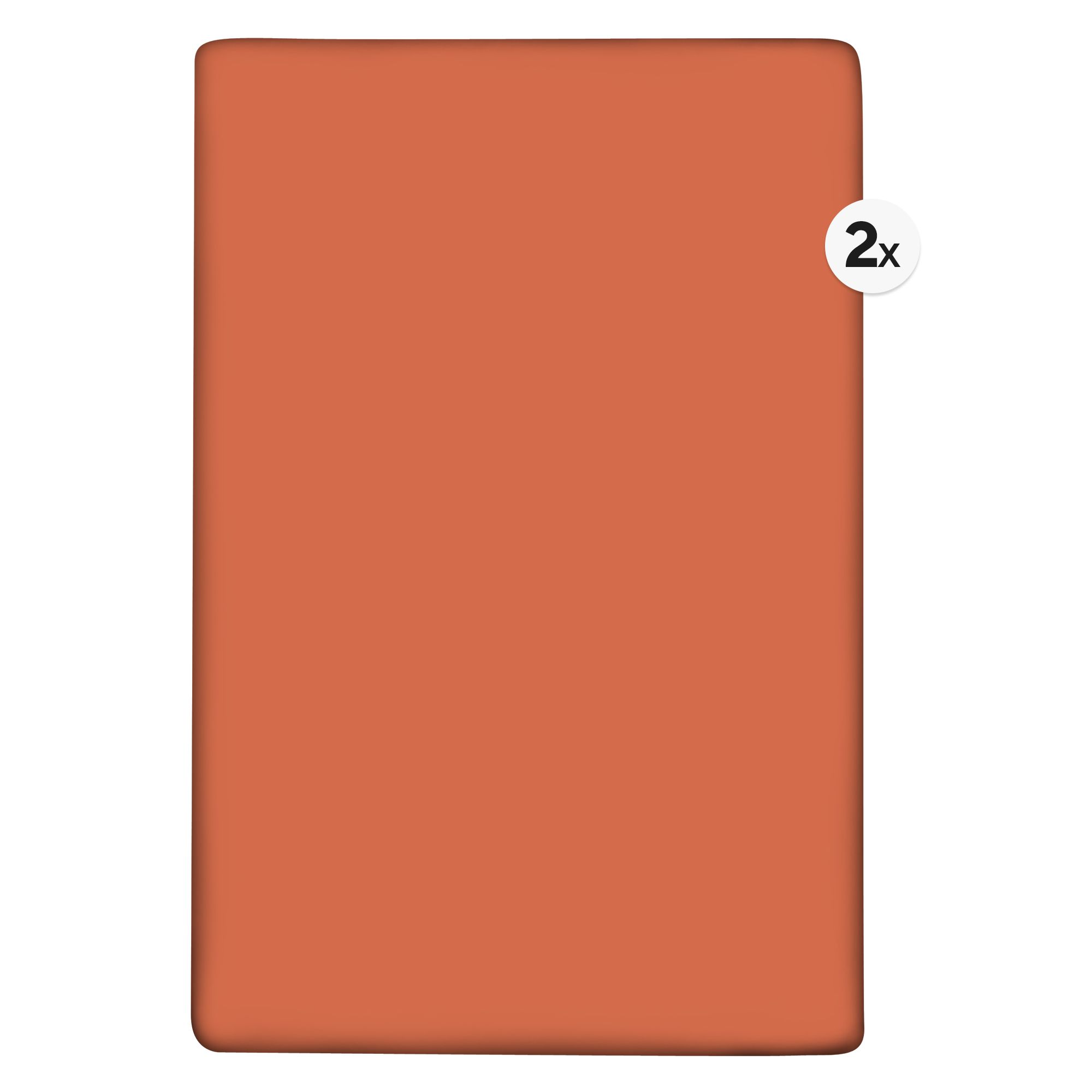 BADIZIO Classic 2 Spannbettlaken uni Mikrofaser Plüsch ca. 100x200cm