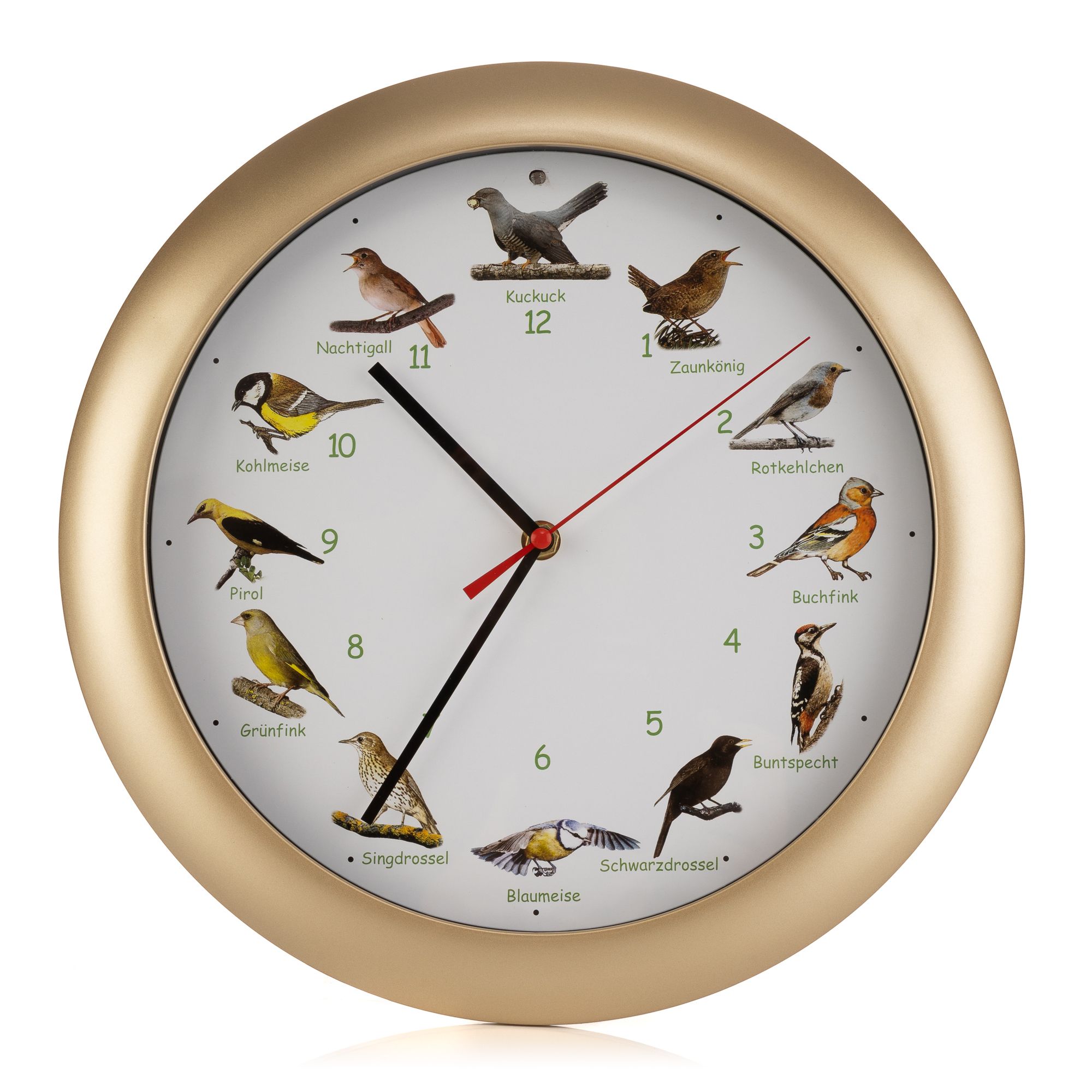 Wanduhr mit 12 authentischen Vogelgesängen Nachtmodus Ø ca. 33x4cm