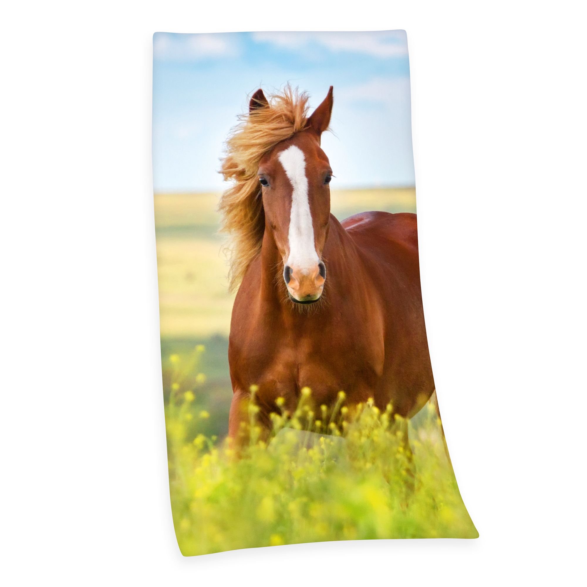 Young Collection Bade-Strandtuch Pferde-Motiv Baumwoll Velours ca. 75x150cm