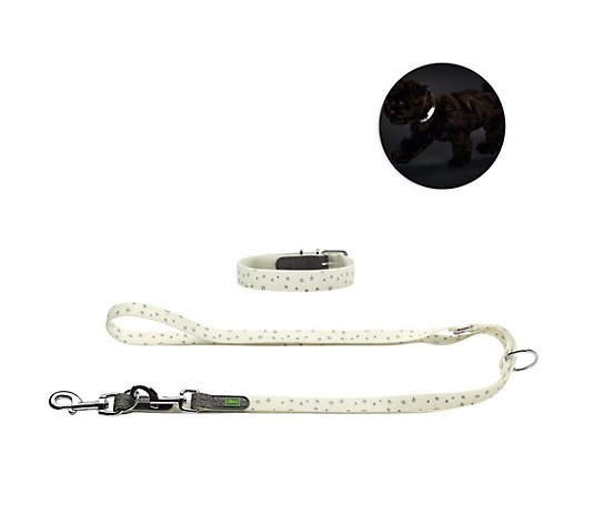 HUNTER® Hunde-Halsband+Leine fluoreszierend reflektierend witterungsbeständig