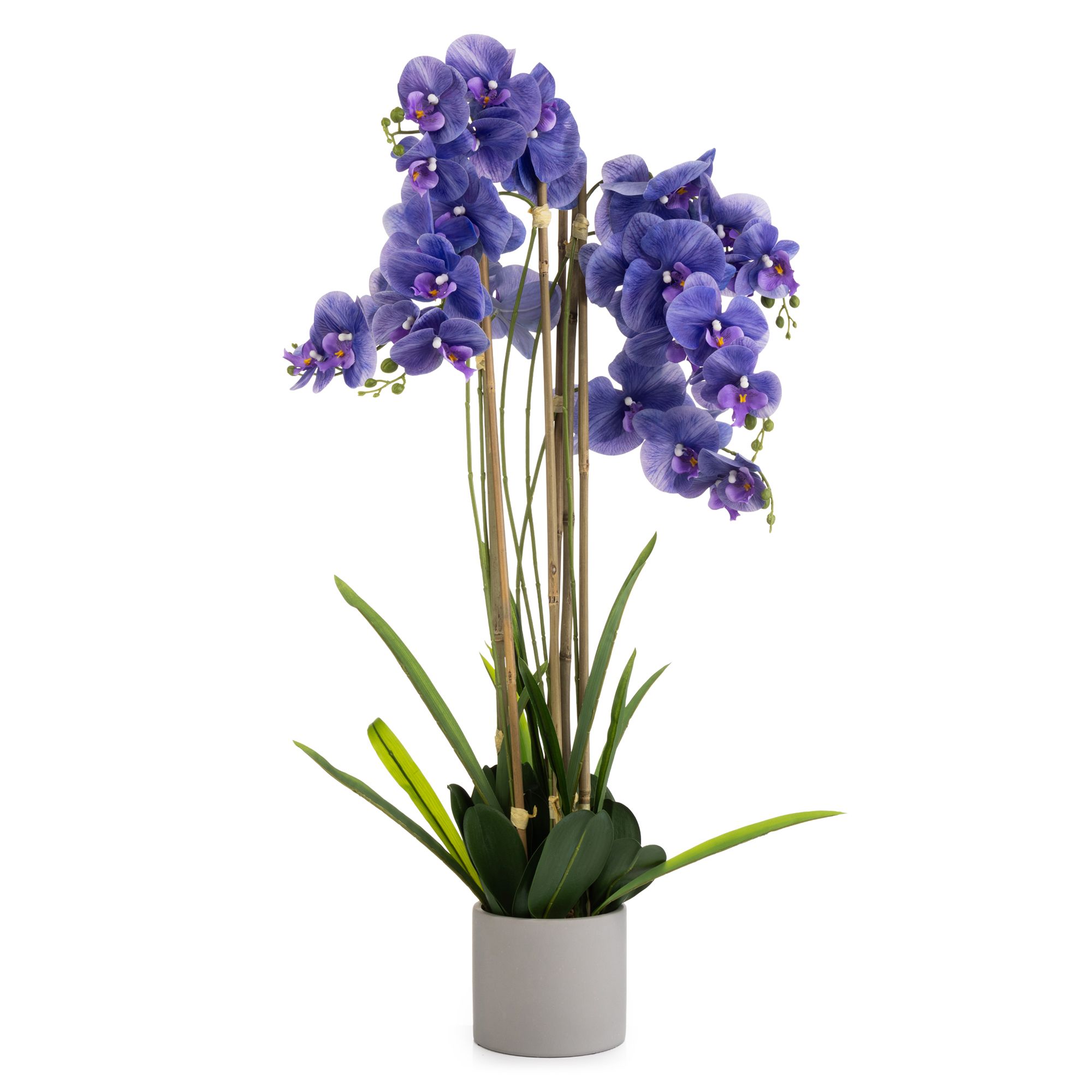 B-Ware ABELLA Flora künstliche Orchidee Realtouch-Blüten Höhe 100cm