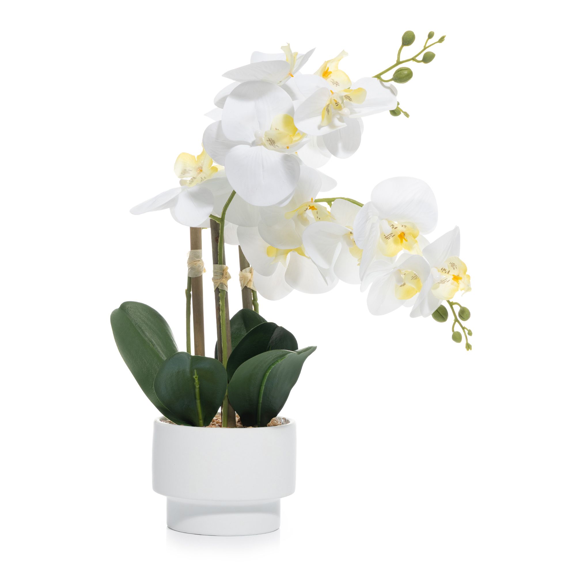 B-Ware LUMIDA Flora künstliche Orchidee Realtouch-Blüten Keramik-Topf