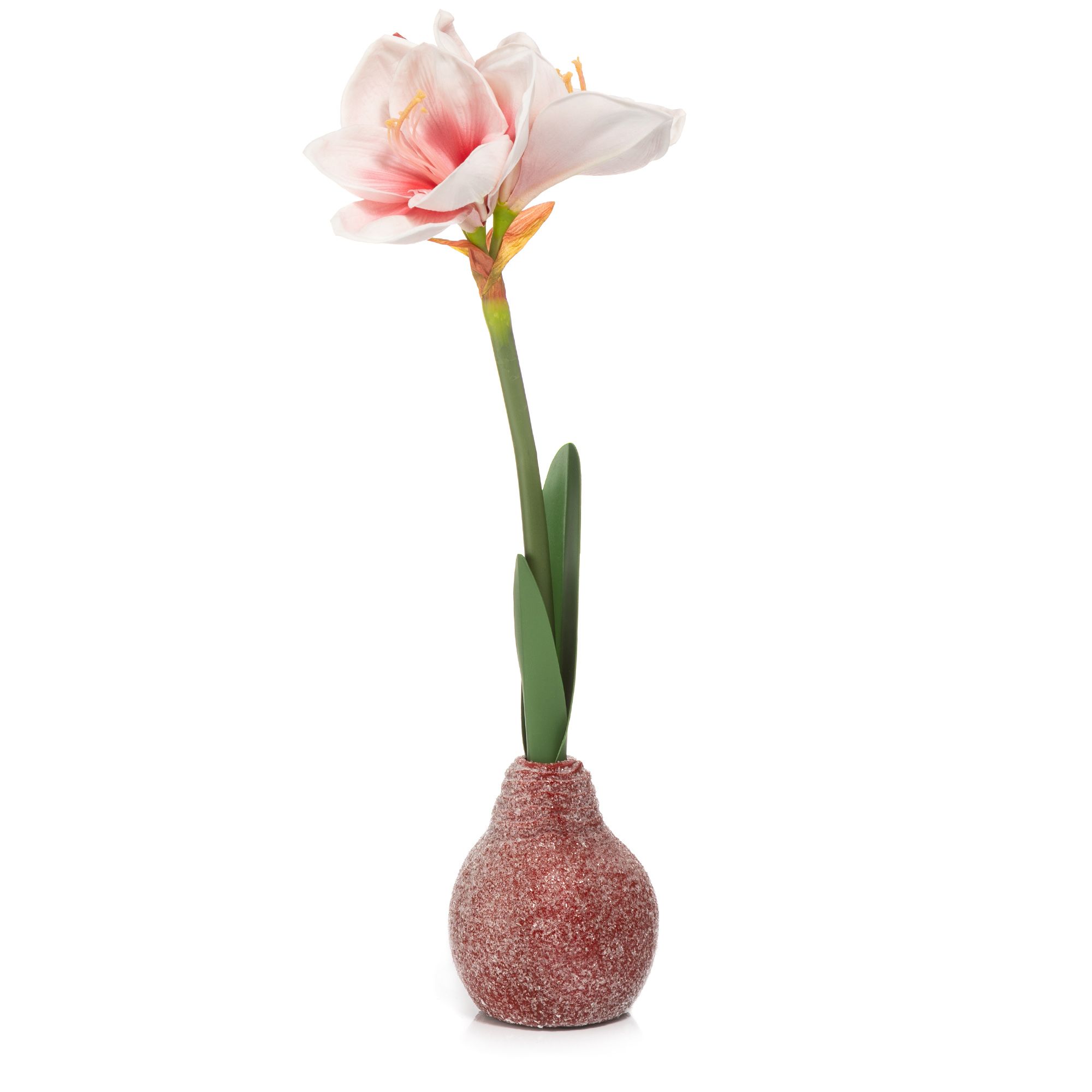 B-Ware ABELLA Flora knstliche Amaryllis Realtouch-Effekt Zwiebel beflockt  - QVC.de