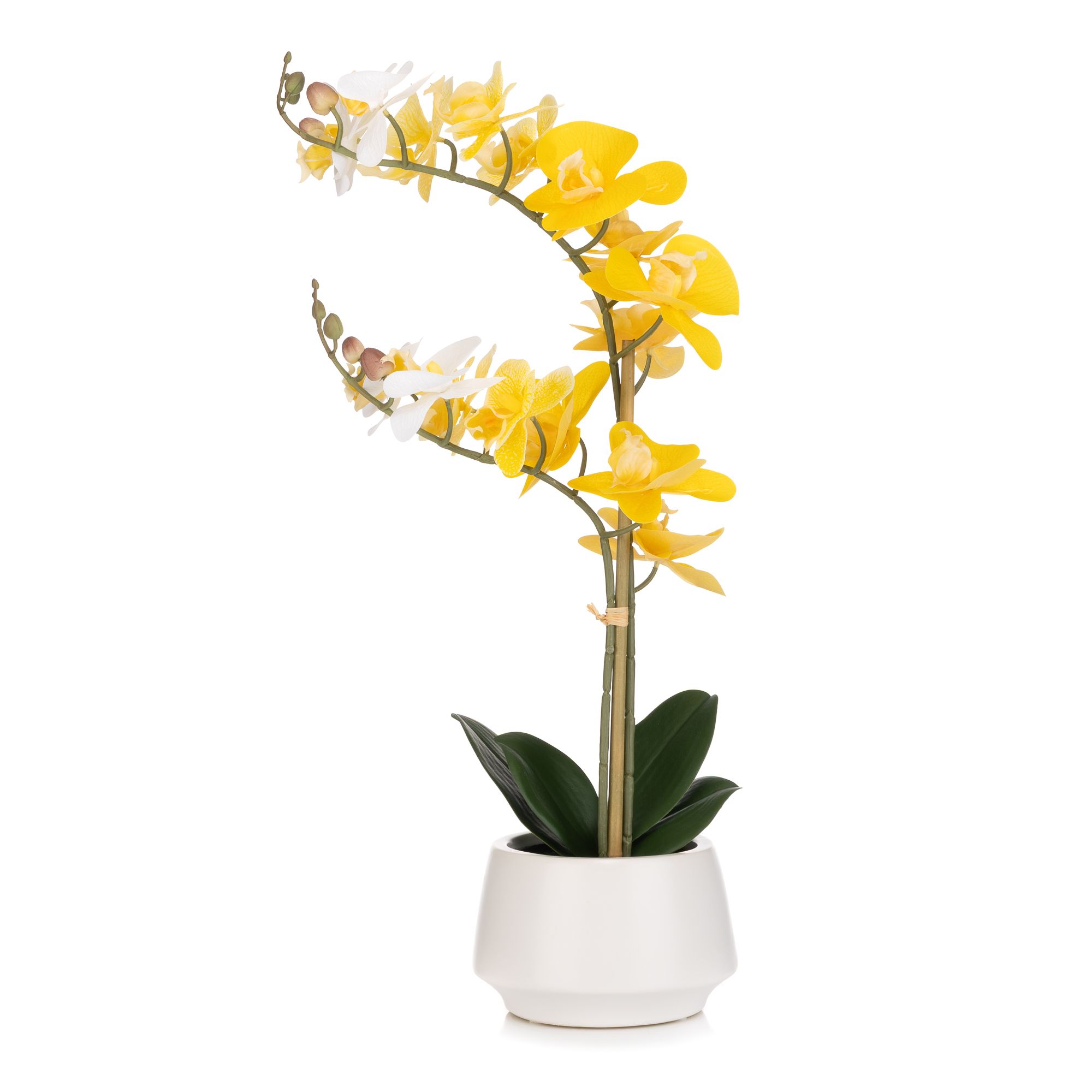 B-Ware ABELLA Flora künstliche Orchidee Farbverlauf-Blüten Keramik-Topf