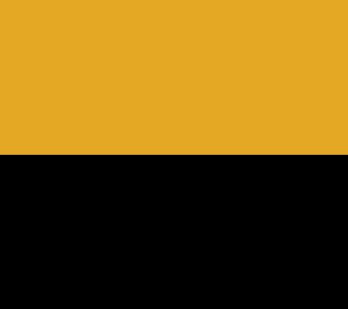 Yellow/Black