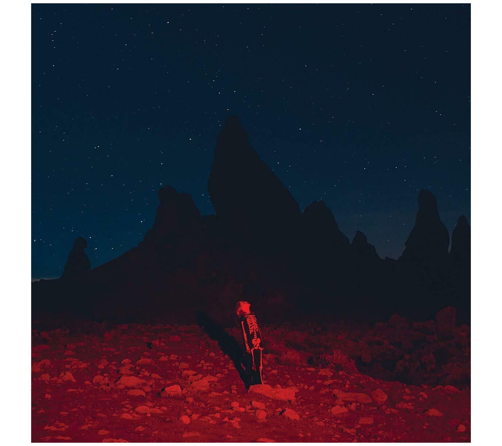Phoebe Bridgers: Punisher - Vinyl
