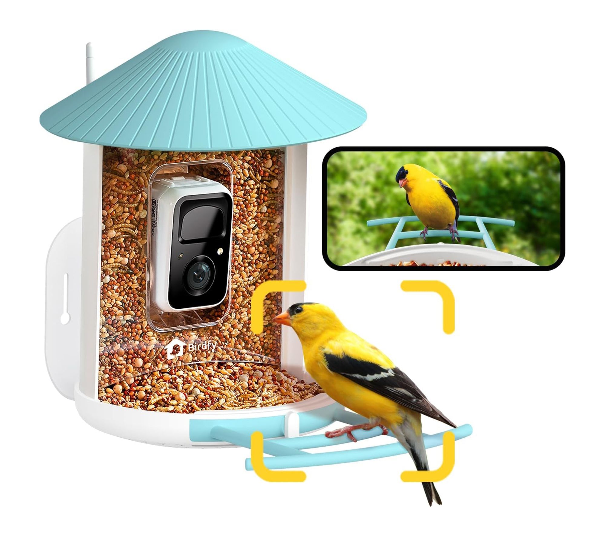 Birdfy Smart Bird Feeder with Camera Lite - Blue