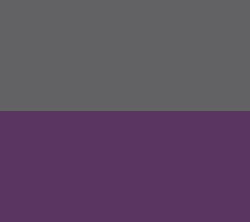 Grey/Purple
