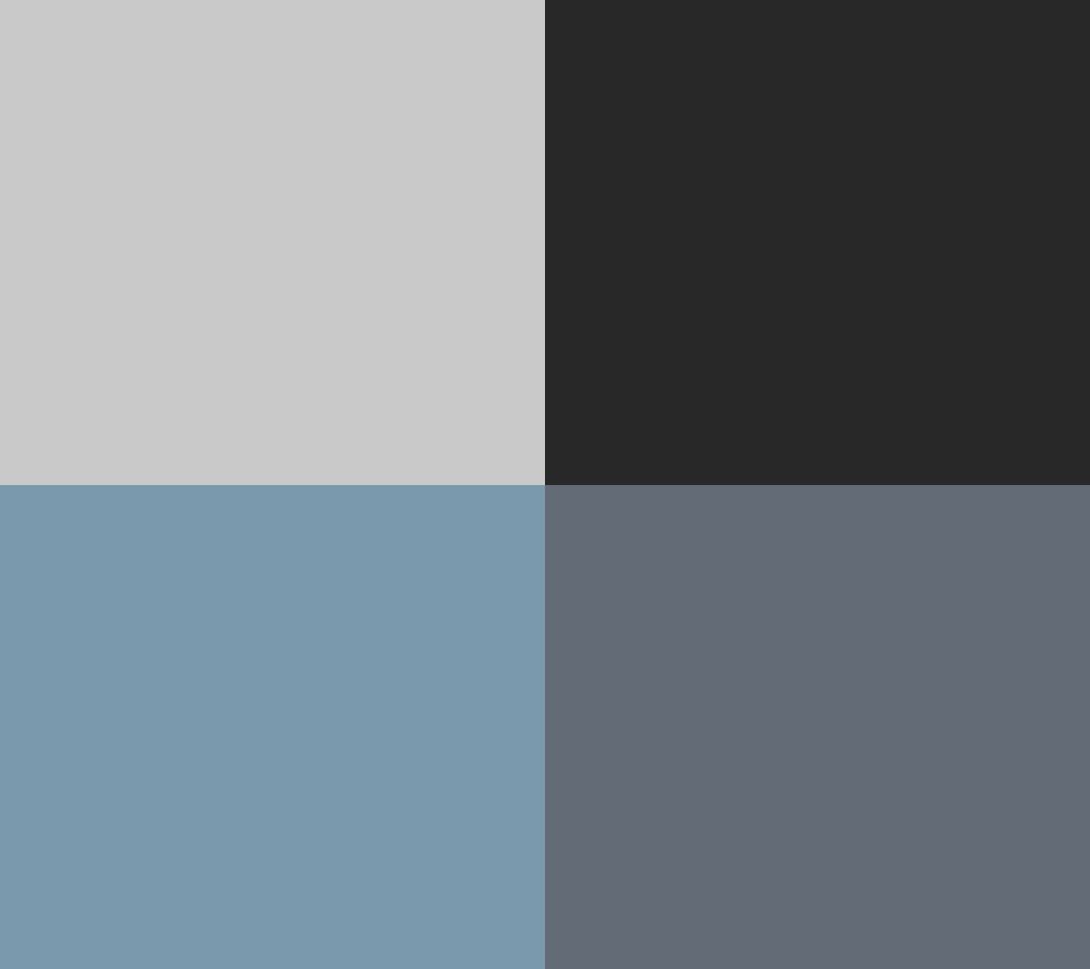 Silver/Blue