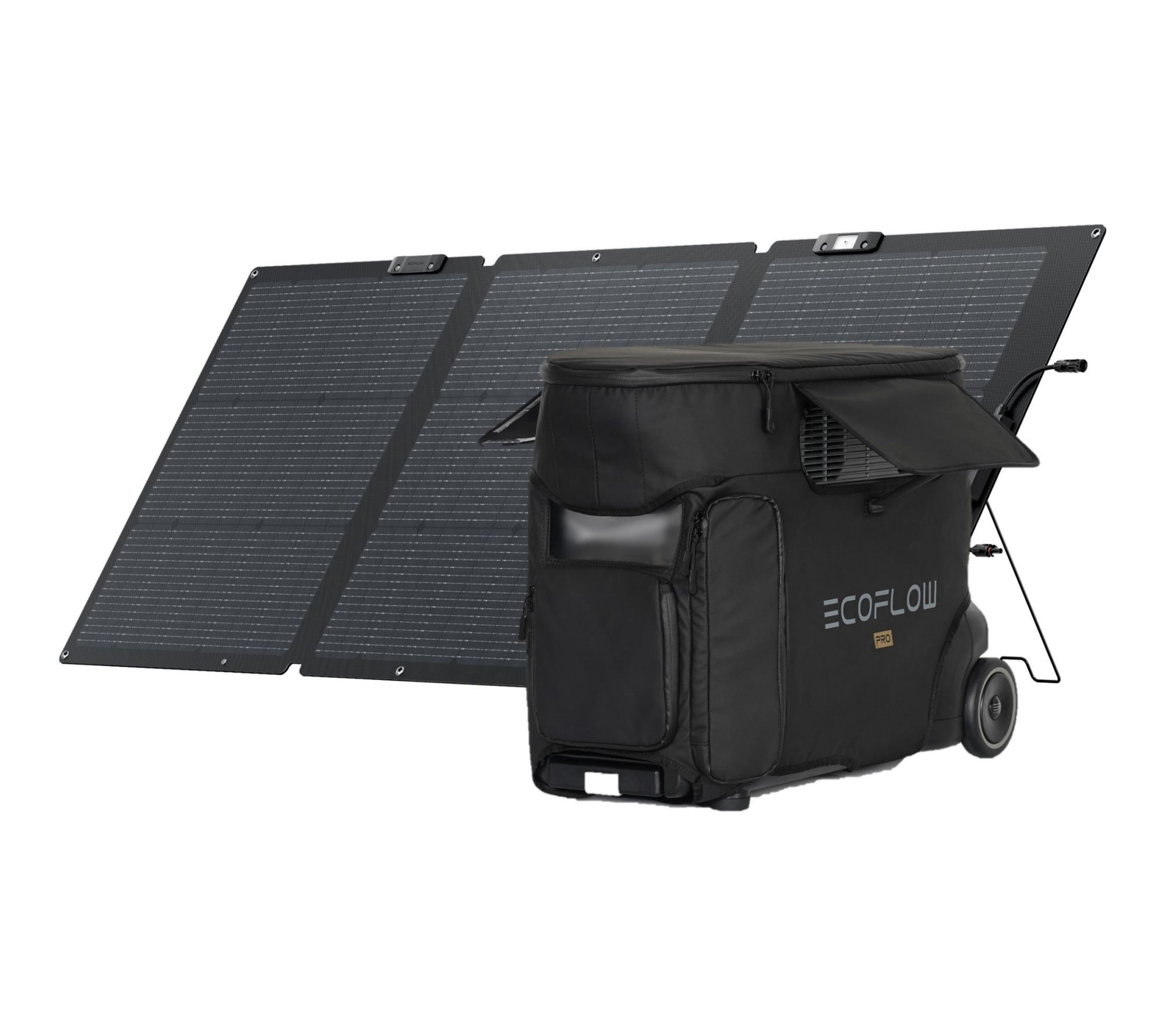 Ecoflow DELTA Pro 3600Wh Power Station, Bag & 160W Solar Panel