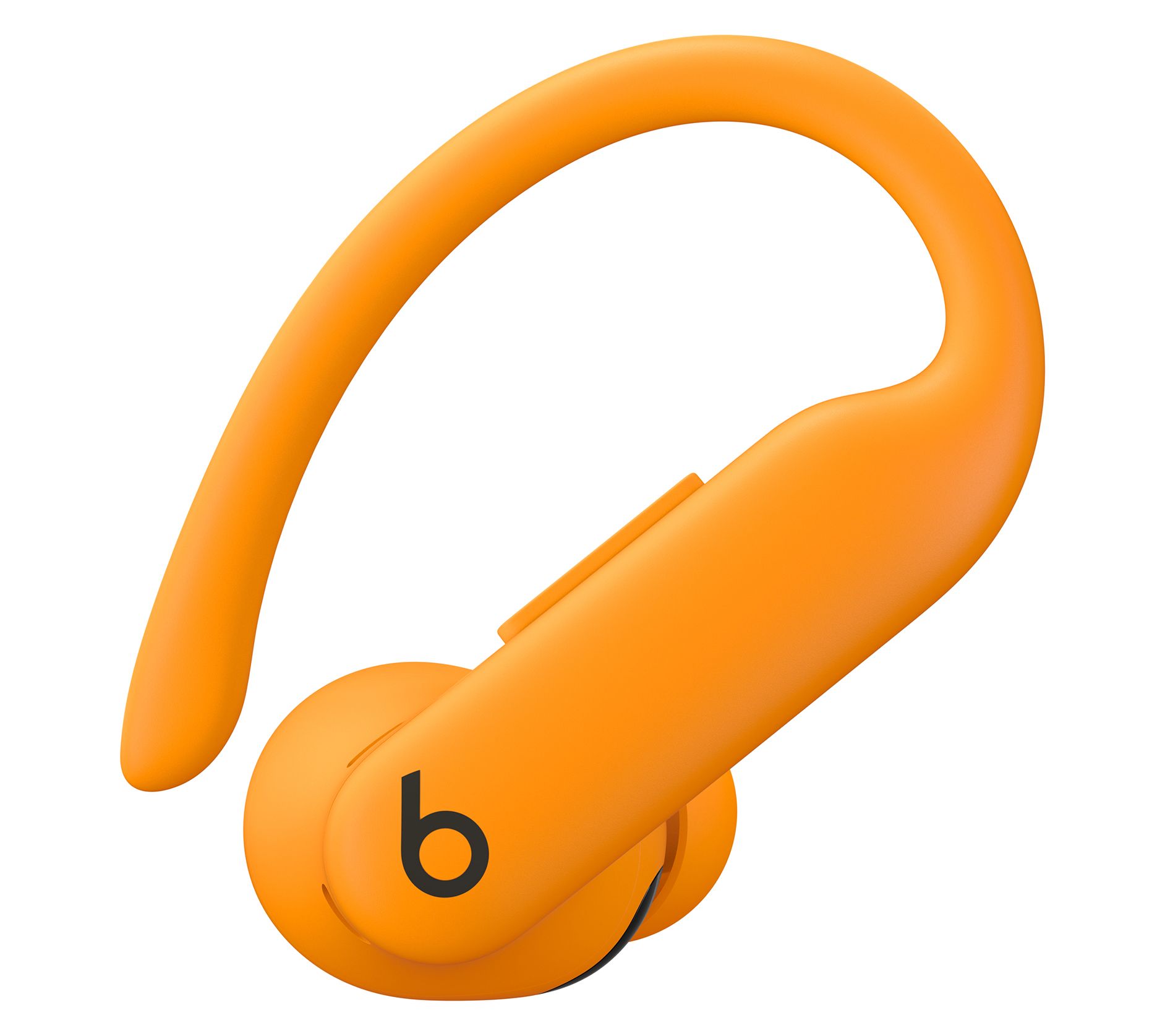 Beats Powerbeats Pro 2 High Performance Earbuds