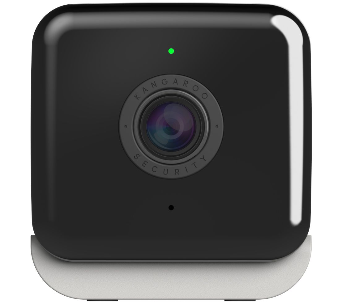 Kangaroo Security Camera with Water and Climate Sensor