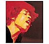 Jimi Hendrix- Electric Ladyland (2 LP) Vinyl Record