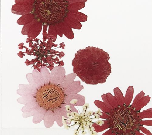 Clear Flower