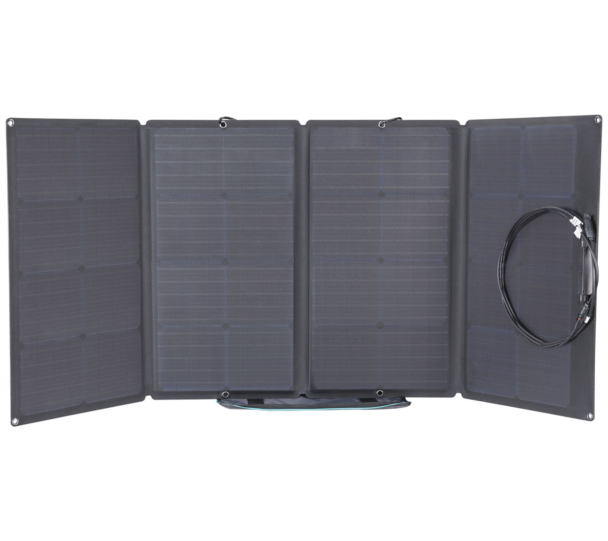 EcoFlow DELTA 2 1000Wh Portable Power Station w/ 160W Solar Panel 