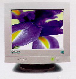 Princeton Graphic Systems 17