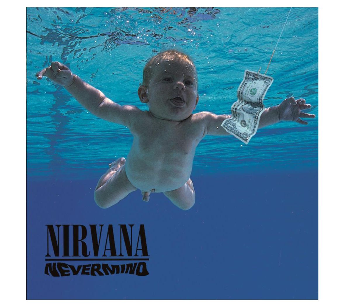 Nirvana Vinyl Record Art